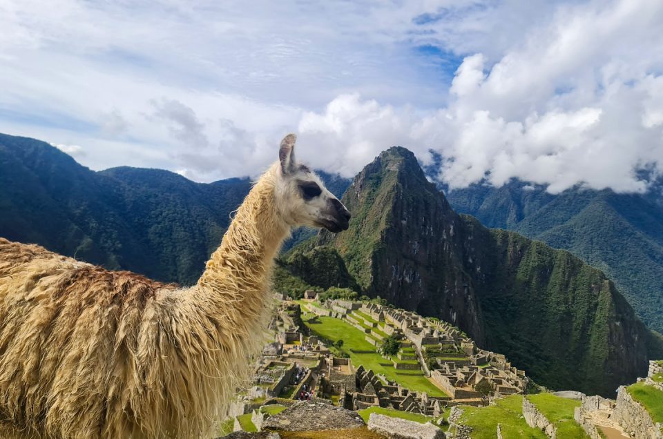 Tuboleto.cultura.pe: The Official Website for Machu Picchu Tickets
