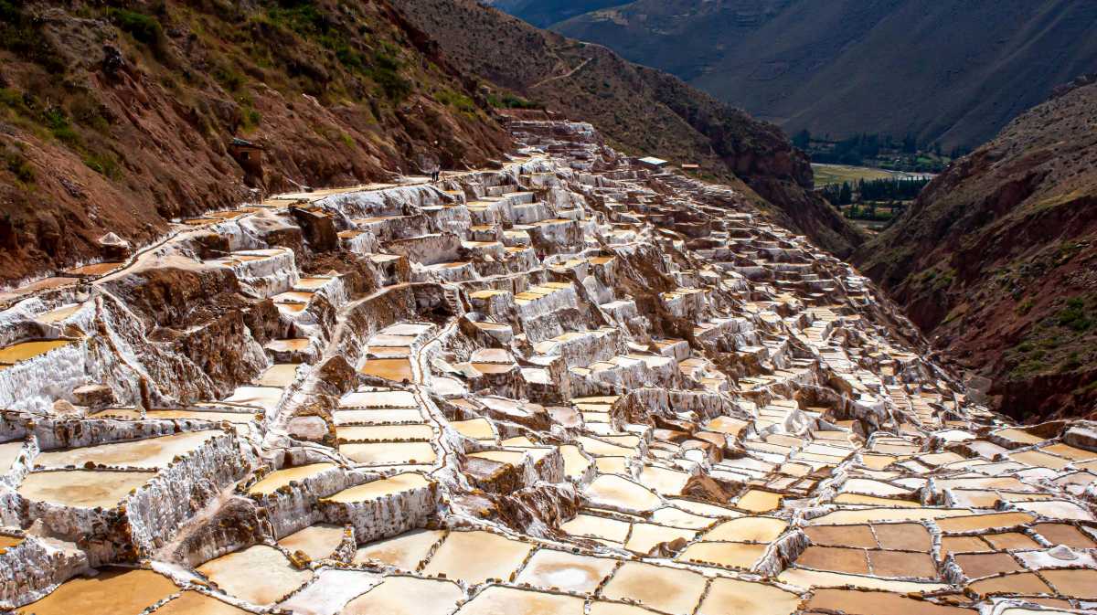 The Guide to Travel With Kids