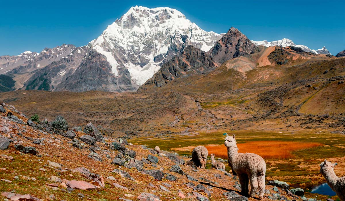 Lares Trek travel