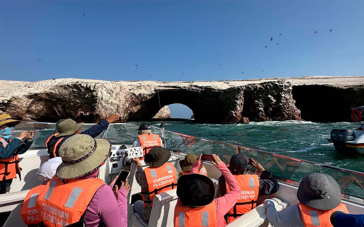 Ballestas Islands tour