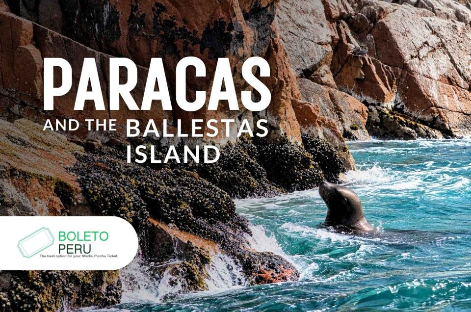 Paracas and the Ballestas Islands: Peru's Own Galápagos