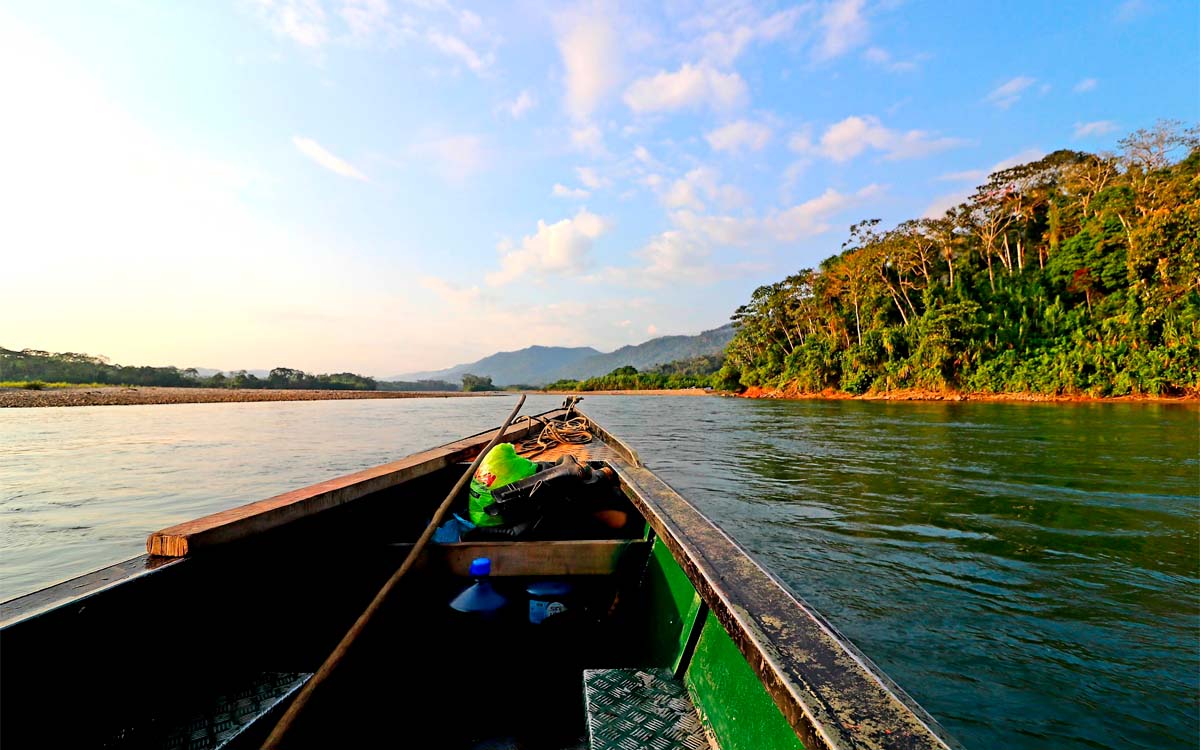 Manu National Park Peru